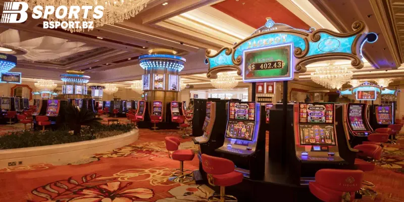 Tại Sao Casino Việt Nam Thu Hút Người Chơi